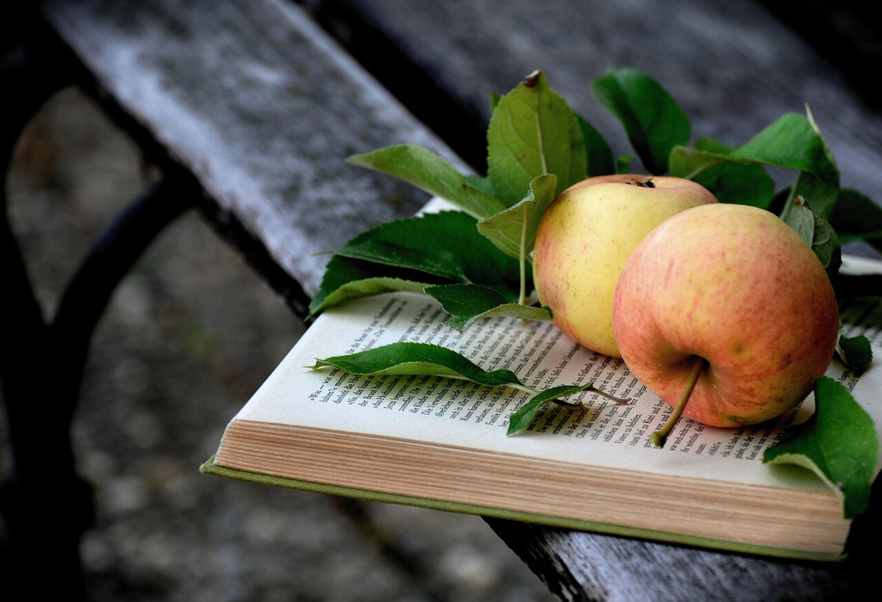 Apples on book